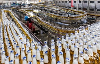 華潤雪花啤酒湘西工廠 旺季生產“火力全開”，推動區域產業升級